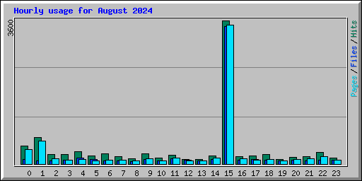 Hourly usage for August 2024