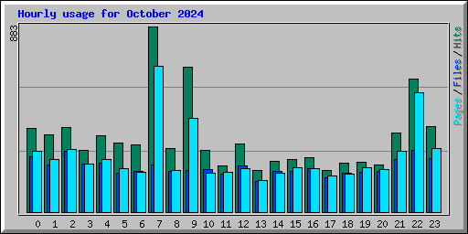 Hourly usage for October 2024