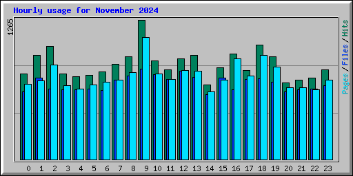 Hourly usage for November 2024