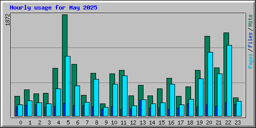 Hourly usage for May 2025