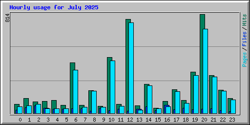 Hourly usage for July 2025