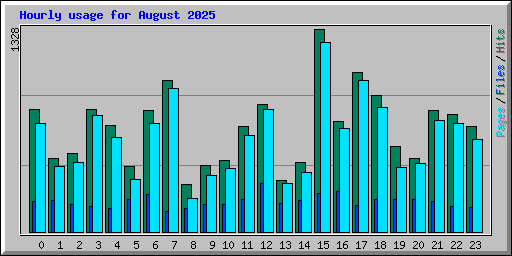 Hourly usage for August 2025
