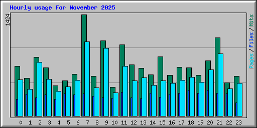 Hourly usage for November 2025