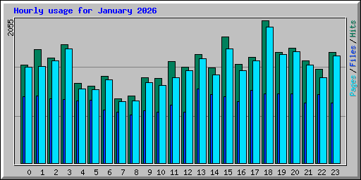 Hourly usage for January 2026