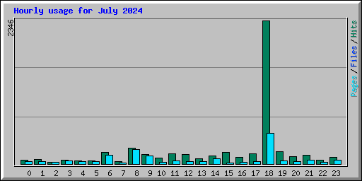 Hourly usage for July 2024