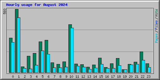 Hourly usage for August 2024