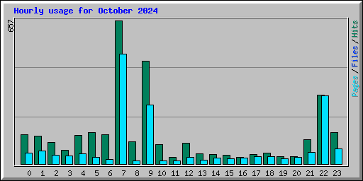 Hourly usage for October 2024