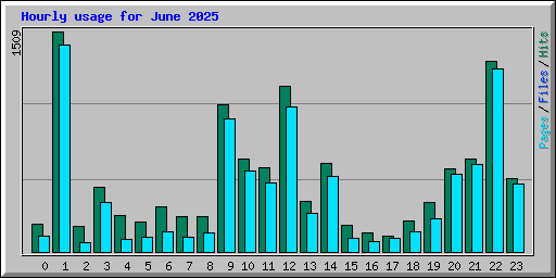 Hourly usage for June 2025