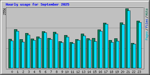 Hourly usage for September 2025