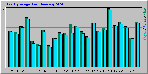 Hourly usage for January 2026